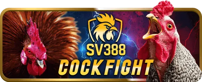 Cá cược tennis vin7772 link mới